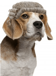 legal beagle